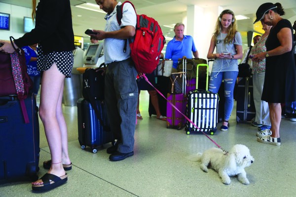 GOP senator wants to rein in emotional support animals on airplanes