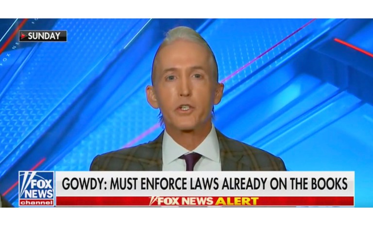WATCH: Emotional Trey Gowdy gives impassioned plea about gun laws