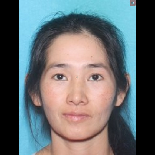 Pennsylvania mother charged with attempted homicide for shooting her sons: Report