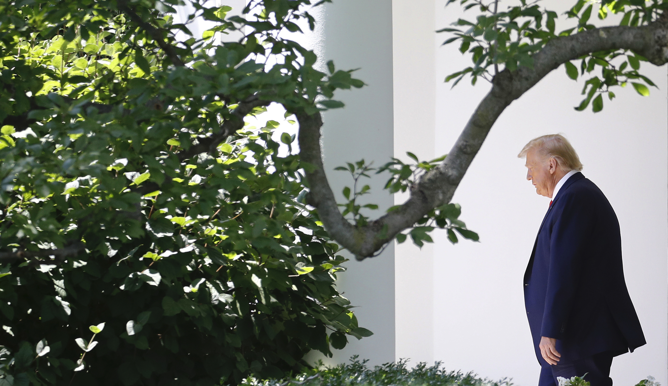 ‘A bit bizarre’: Fauci still on the receiving end of criticism by the White House