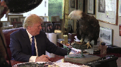 Watch: Bald eagle snaps at Donald Trump