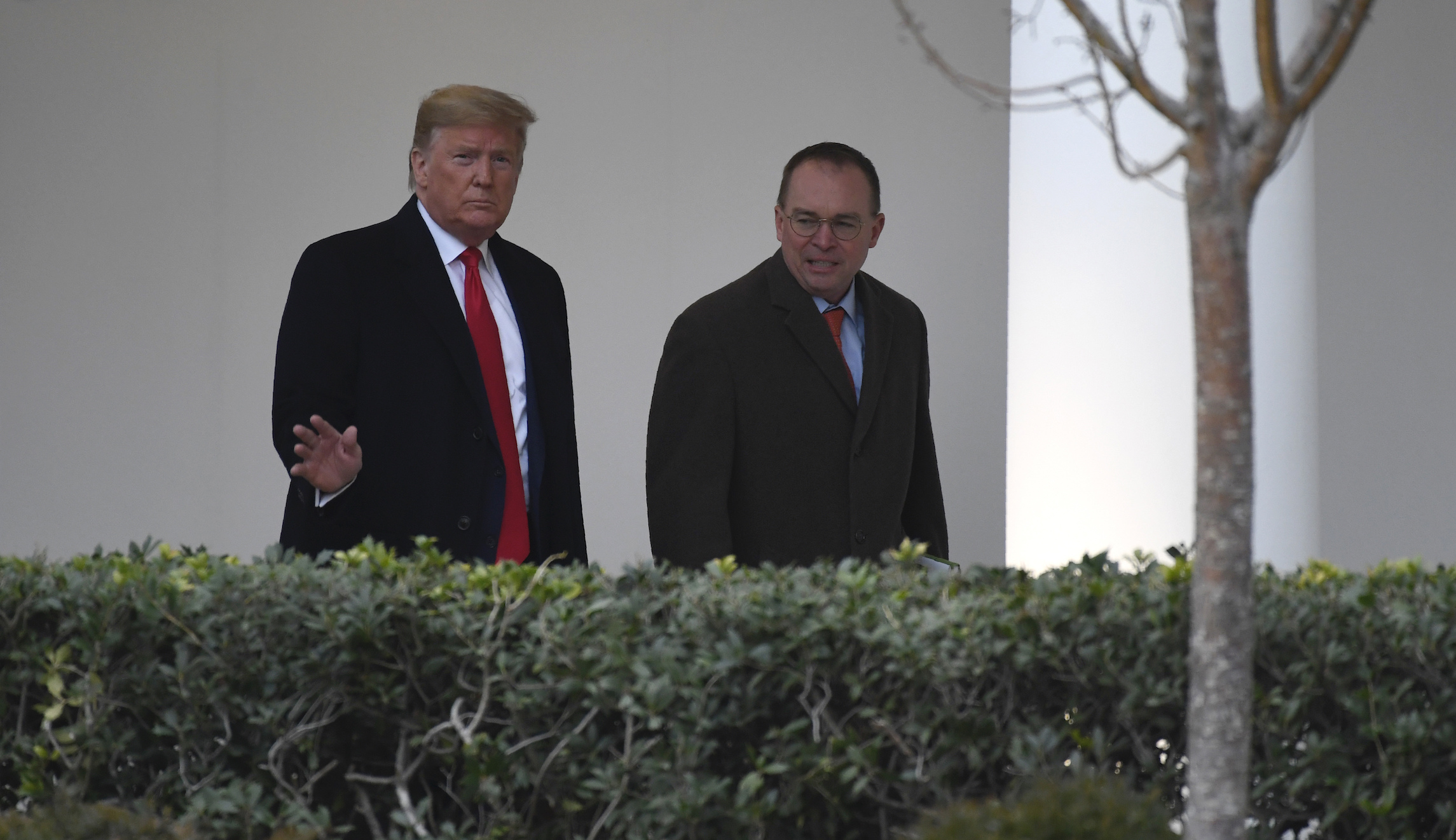 Mick Mulvaney: I disagree with Trump ‘every single day’