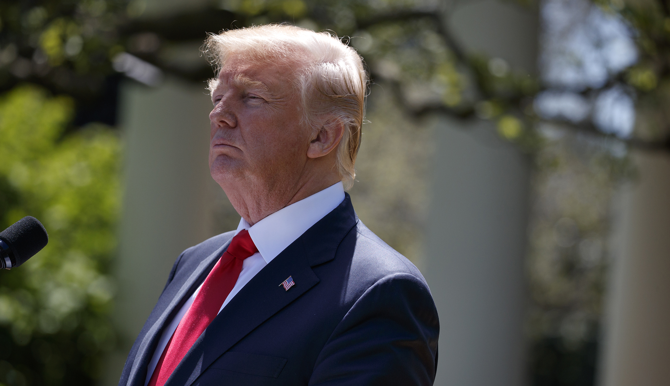 Trump gives ‘full support’ to term limits push in Congress