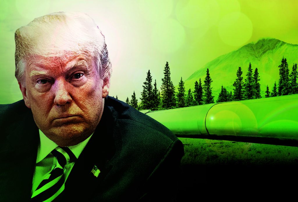 Trump is a lot greener than you think he is