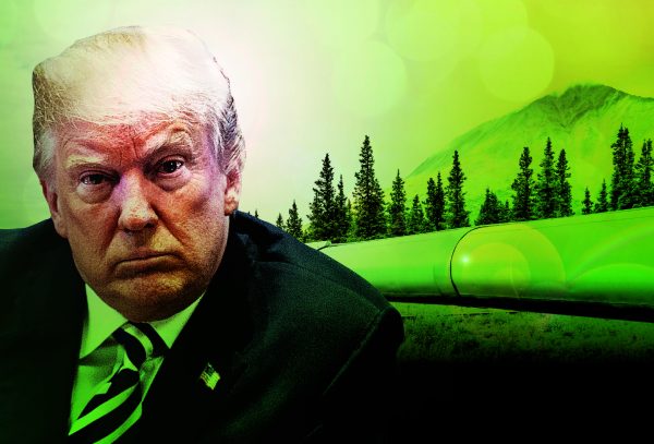 Trump is a lot greener than you think he is