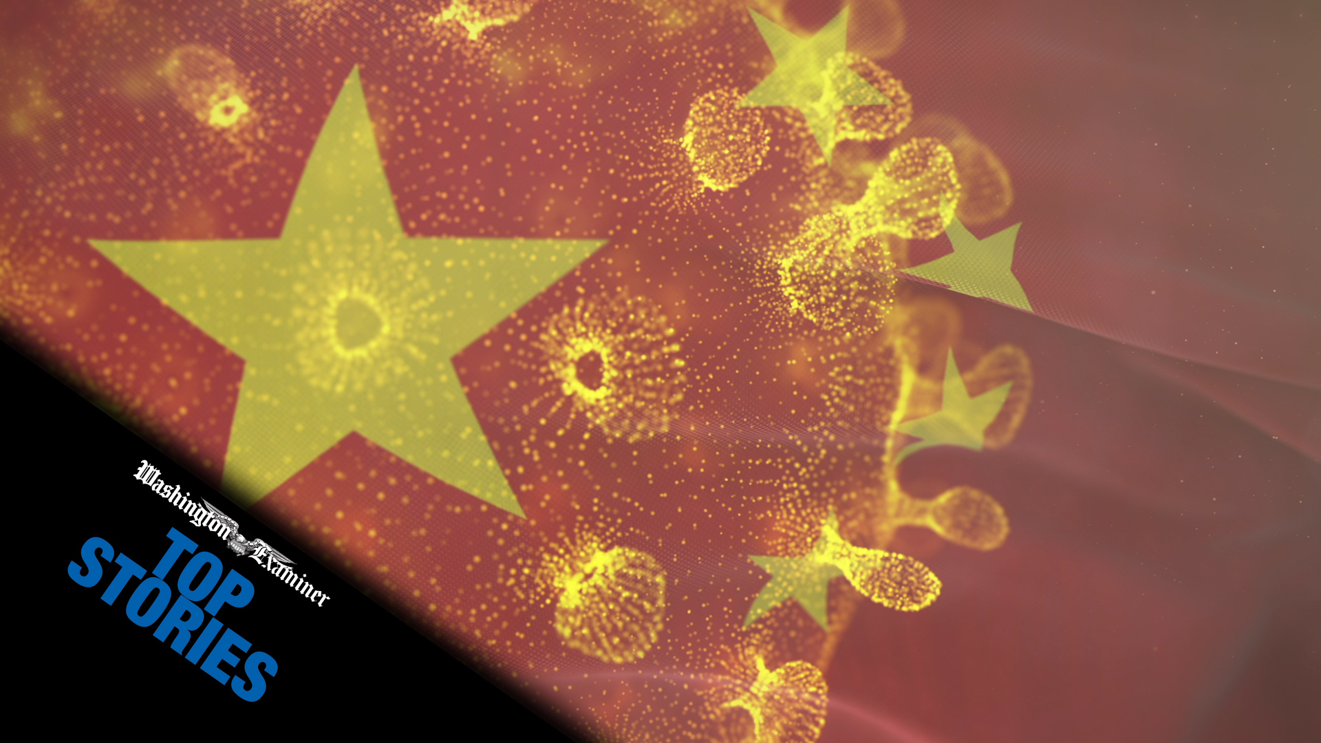 Top Stories: June 5, 2020