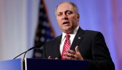 Steve Scalise: ‘I wish both sides’ would condemn violence