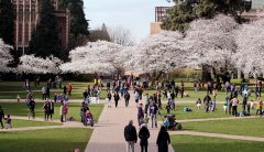 University of Washington to pay $122,500 in free speech lawsuit settlement