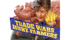 Ernst vs. tariffs