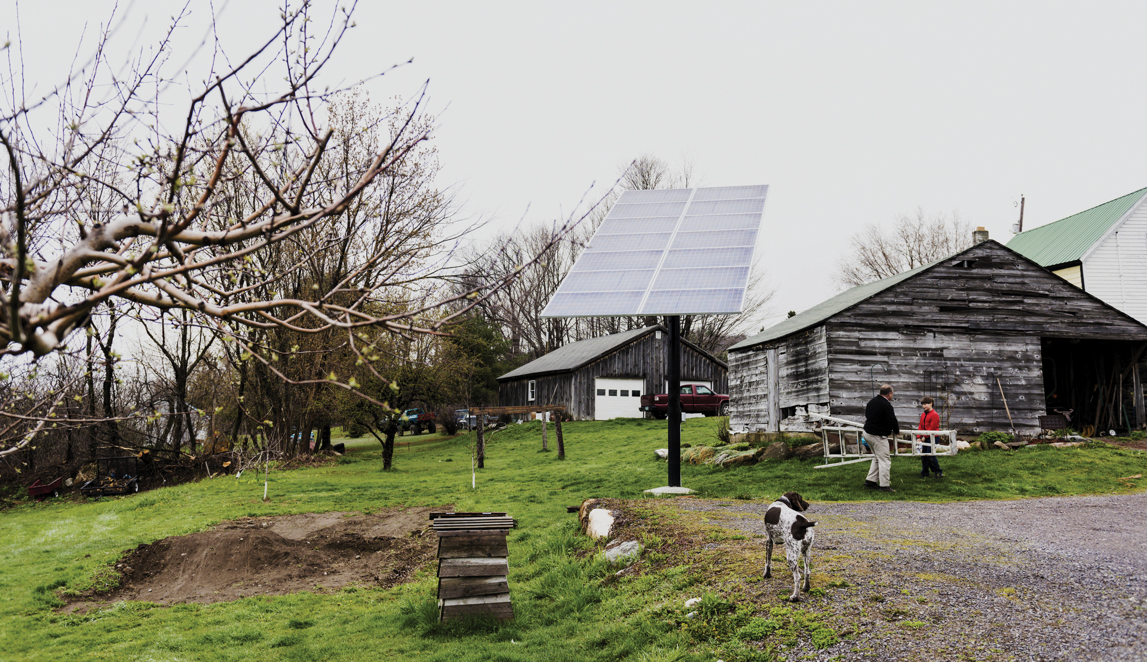 Tesla slashes solar panel prices