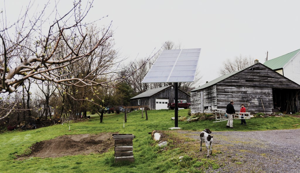 Tesla slashes solar panel prices