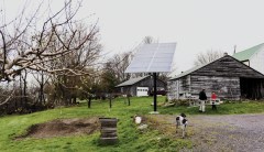 Tesla slashes solar panel prices