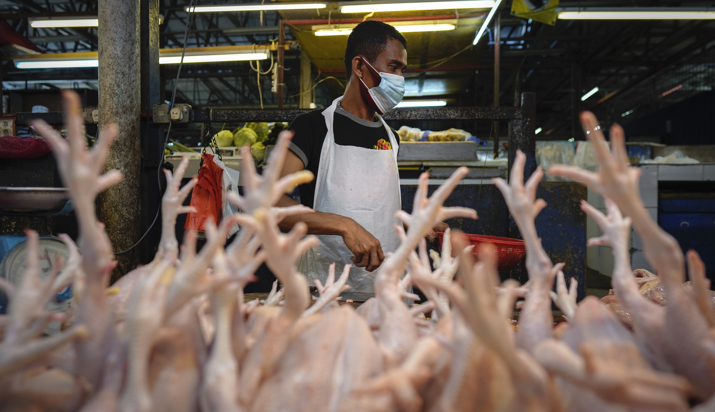WHO says it does not recommend live animal markets be closed across the globe