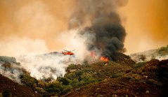 With wildfire season in full swing, Washington declares drought emergency