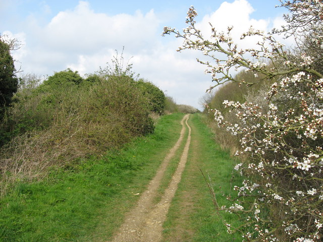 Prufrock: The Pearl of Lao Tzu Hoax, the Elegies of Maximianus, and Medieval Trade Routes