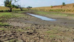 Rep. Greg Walden: Abolition of the ‘WOTUS’ rule means one less burden on rural America