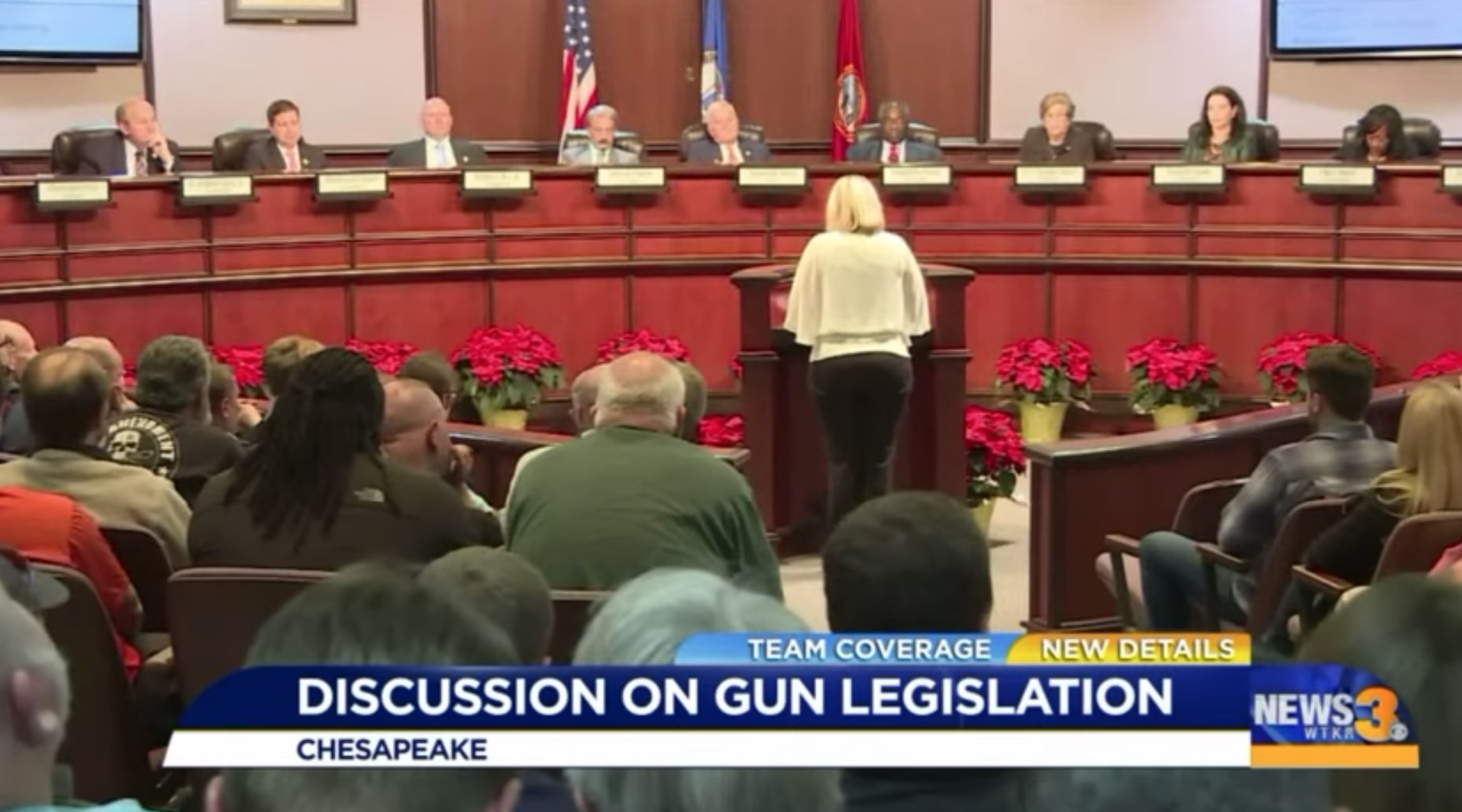 ‘The law is the law’: Virginia Democrats float prosecution and National Guard deployment if police don’t enforce gun control