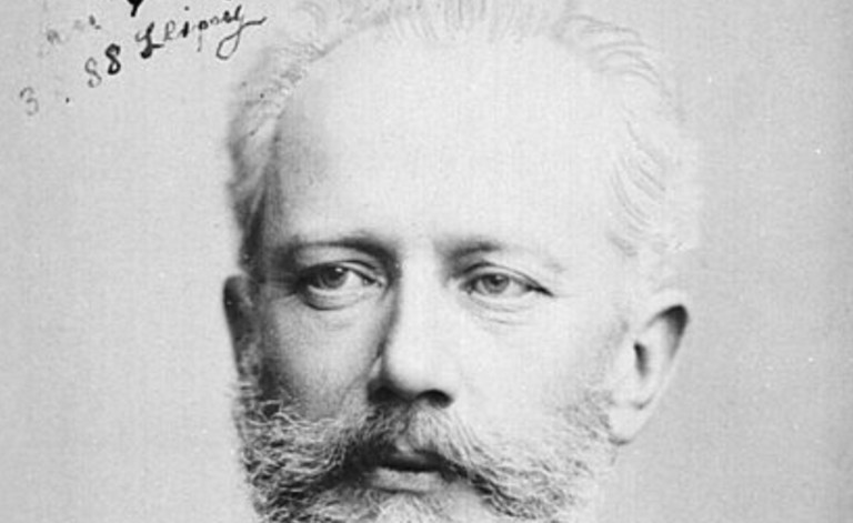 Stupidity and The Snow Forest