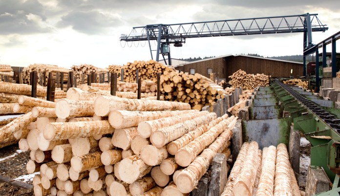 Wood woes