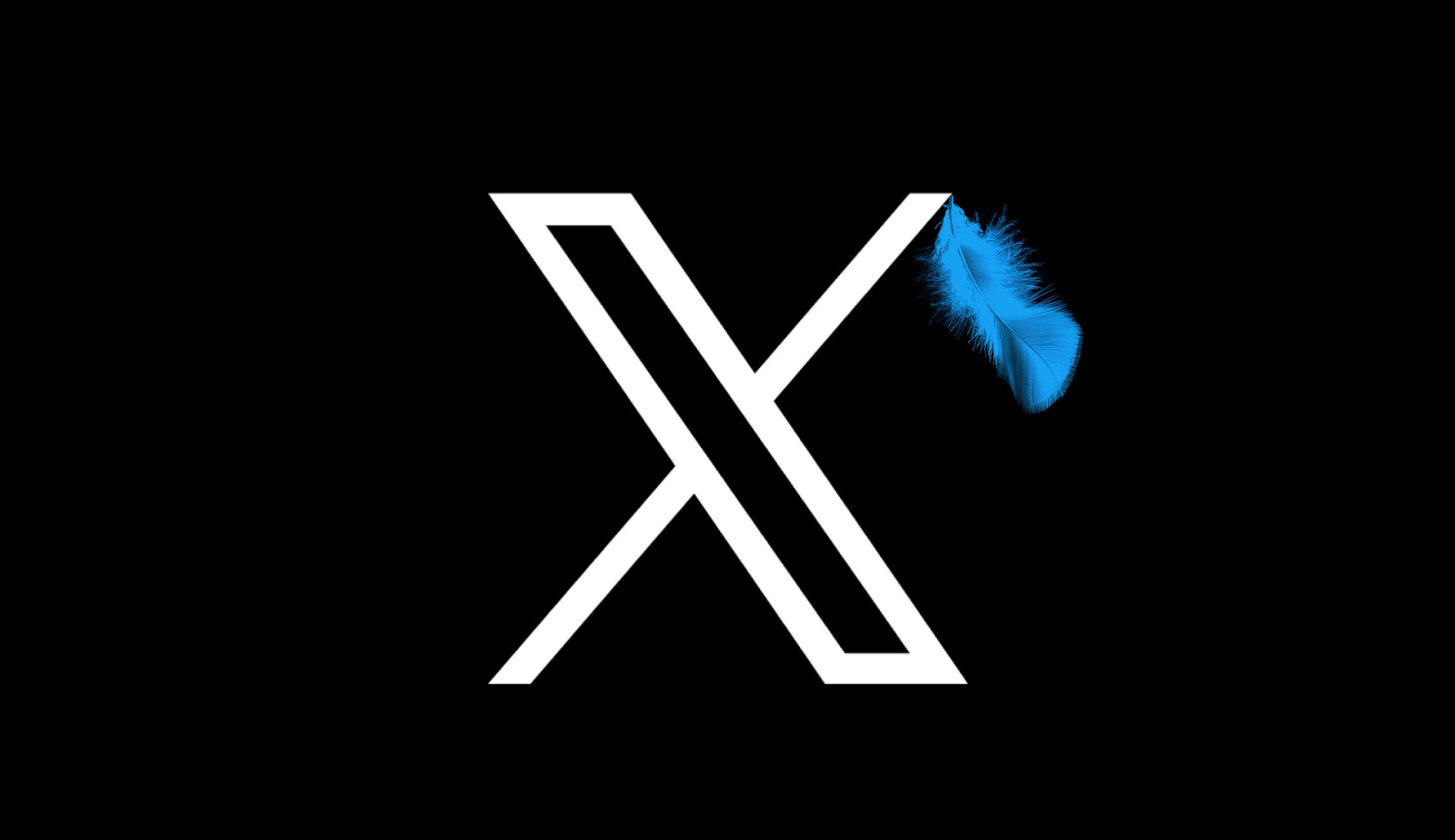 The website formerly known as Twitter