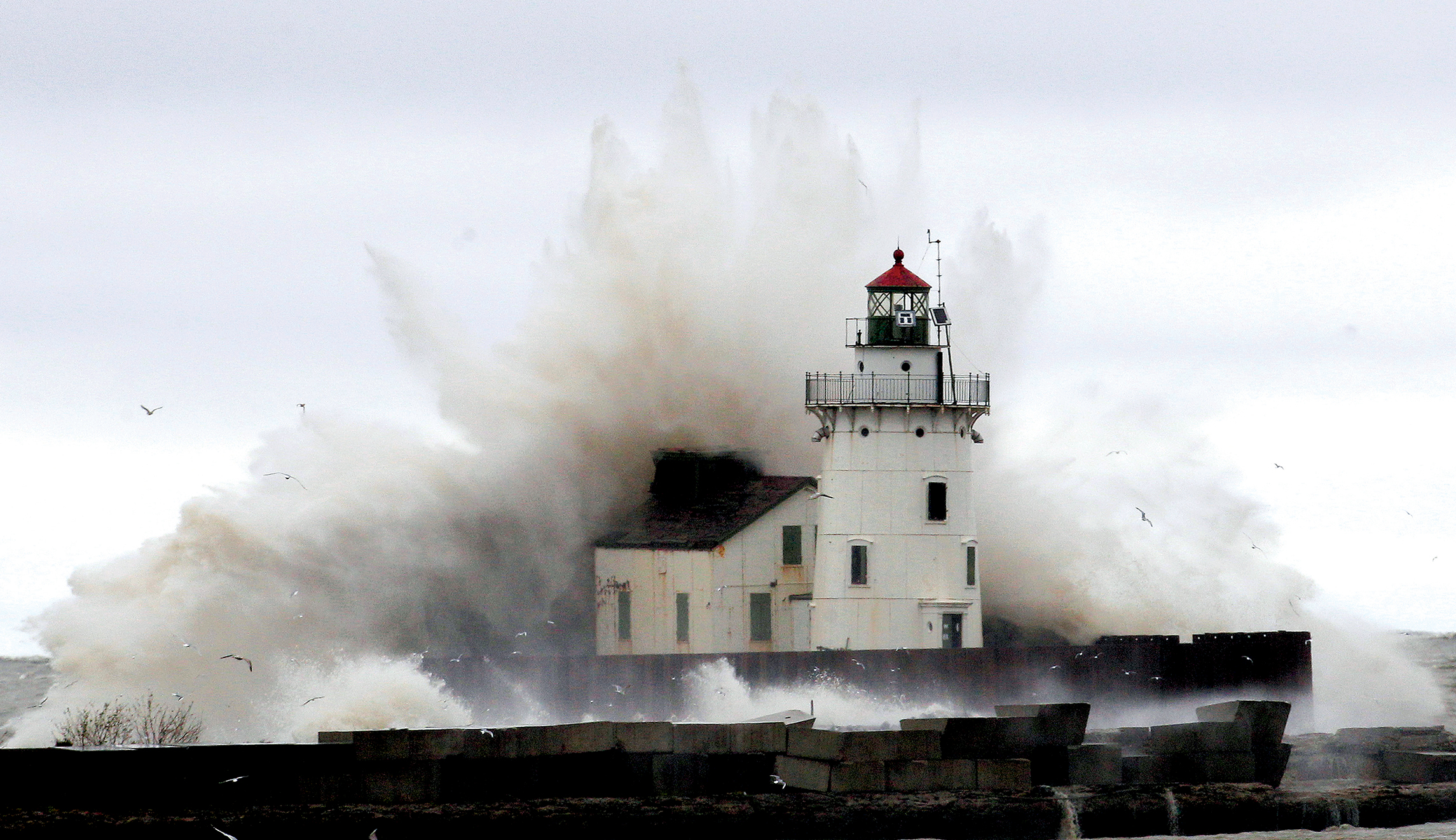 Waging war against the Great Lakes