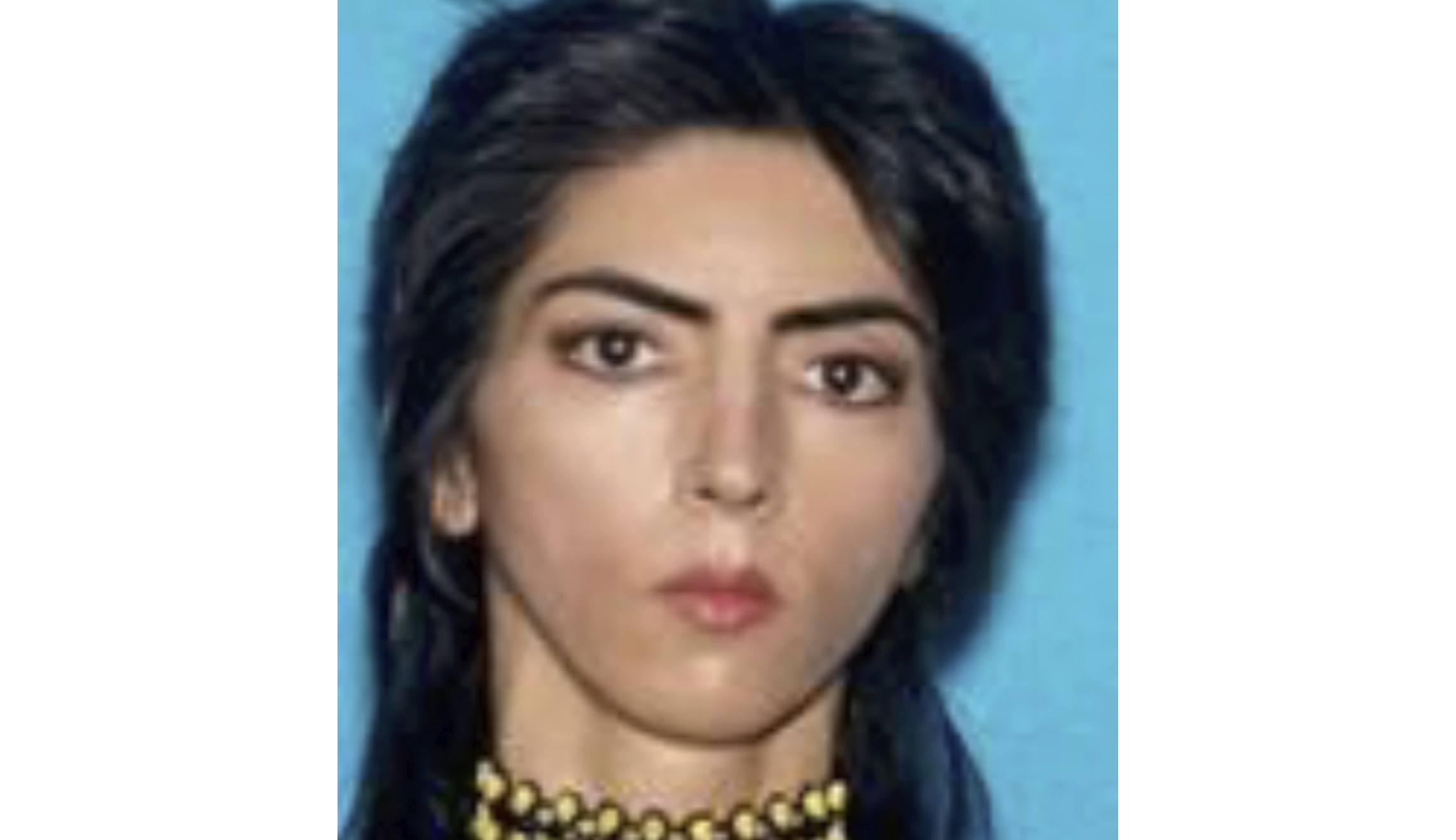 The truth about the YouTube shooter: She wasn’t Muslim and didn’t care about the NRA