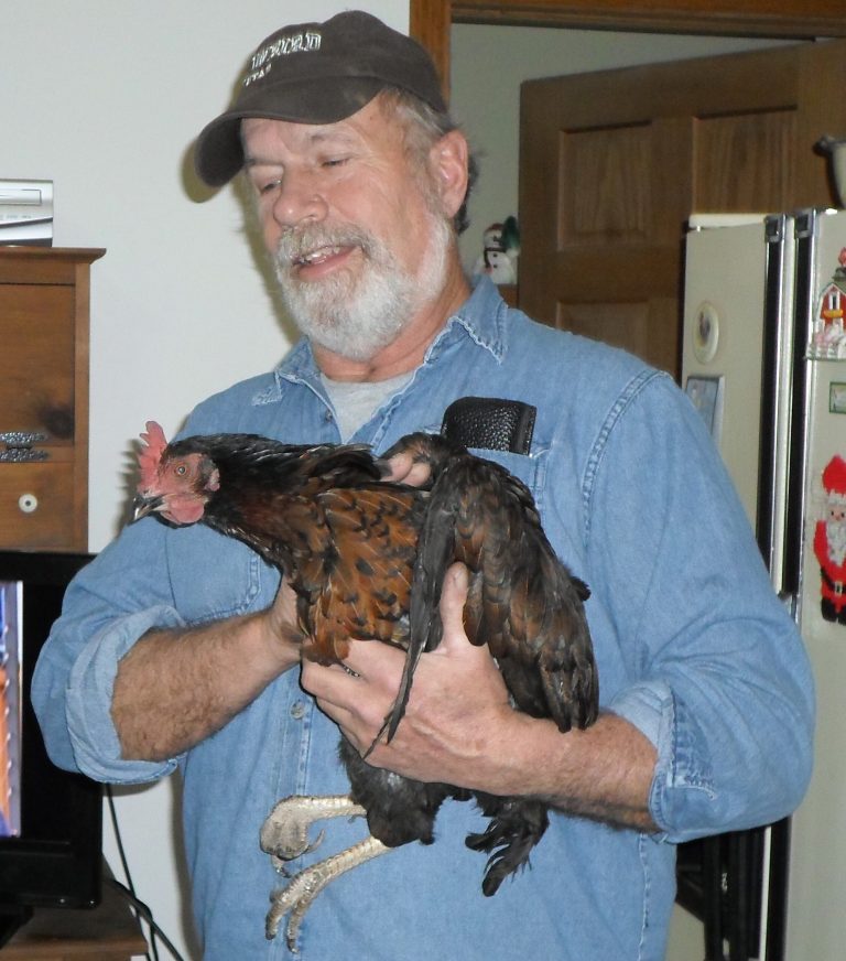 Wis. couple says pet chicken alerted them to blaze