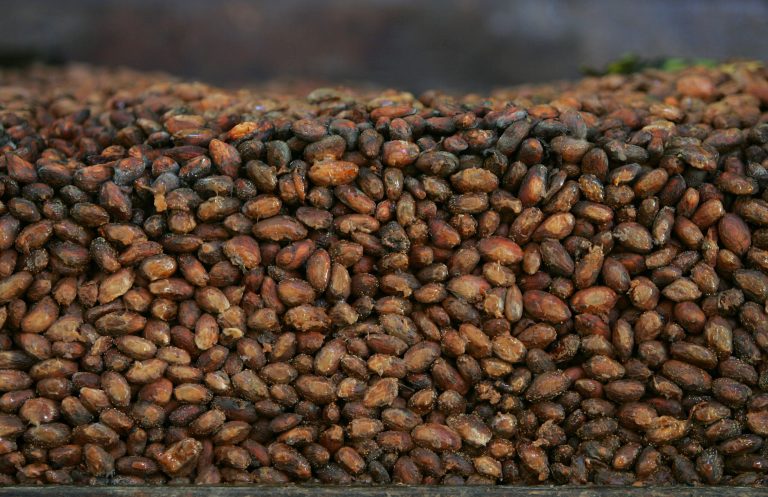 Study to test ‘chocolate’ pills for heart health