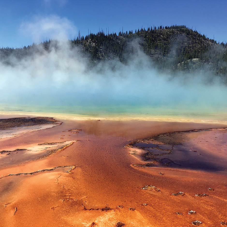 Safety Not Guaranteed