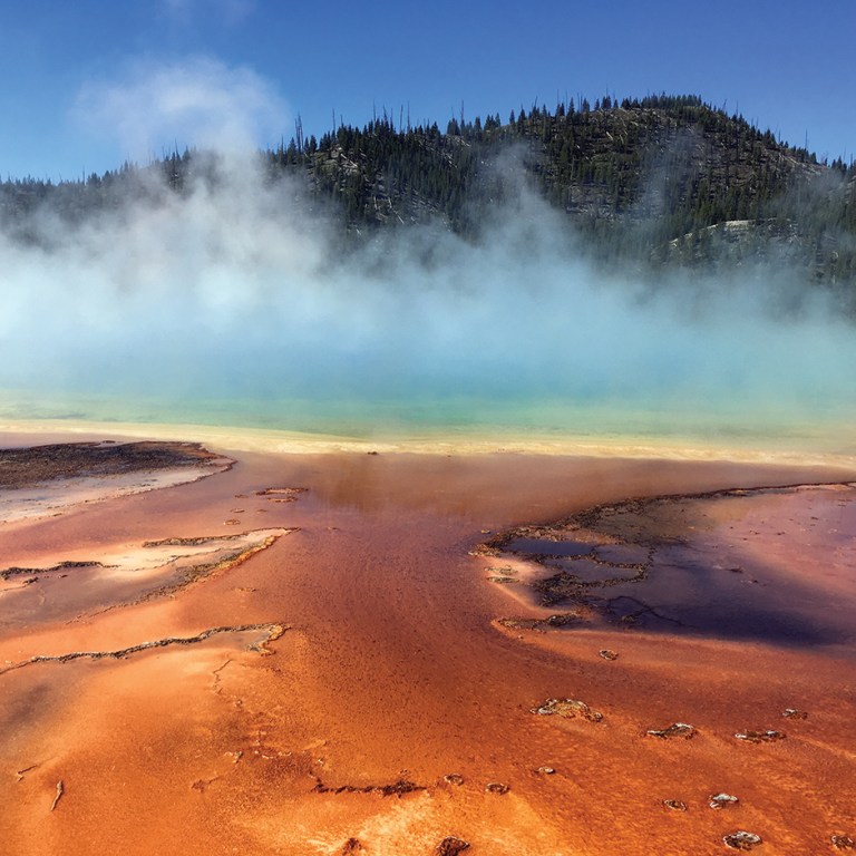 Safety Not Guaranteed