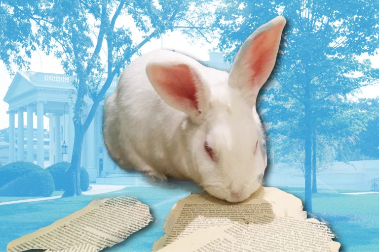 Ten Bunny Tales Better Than Either Marlon Bundo Offering