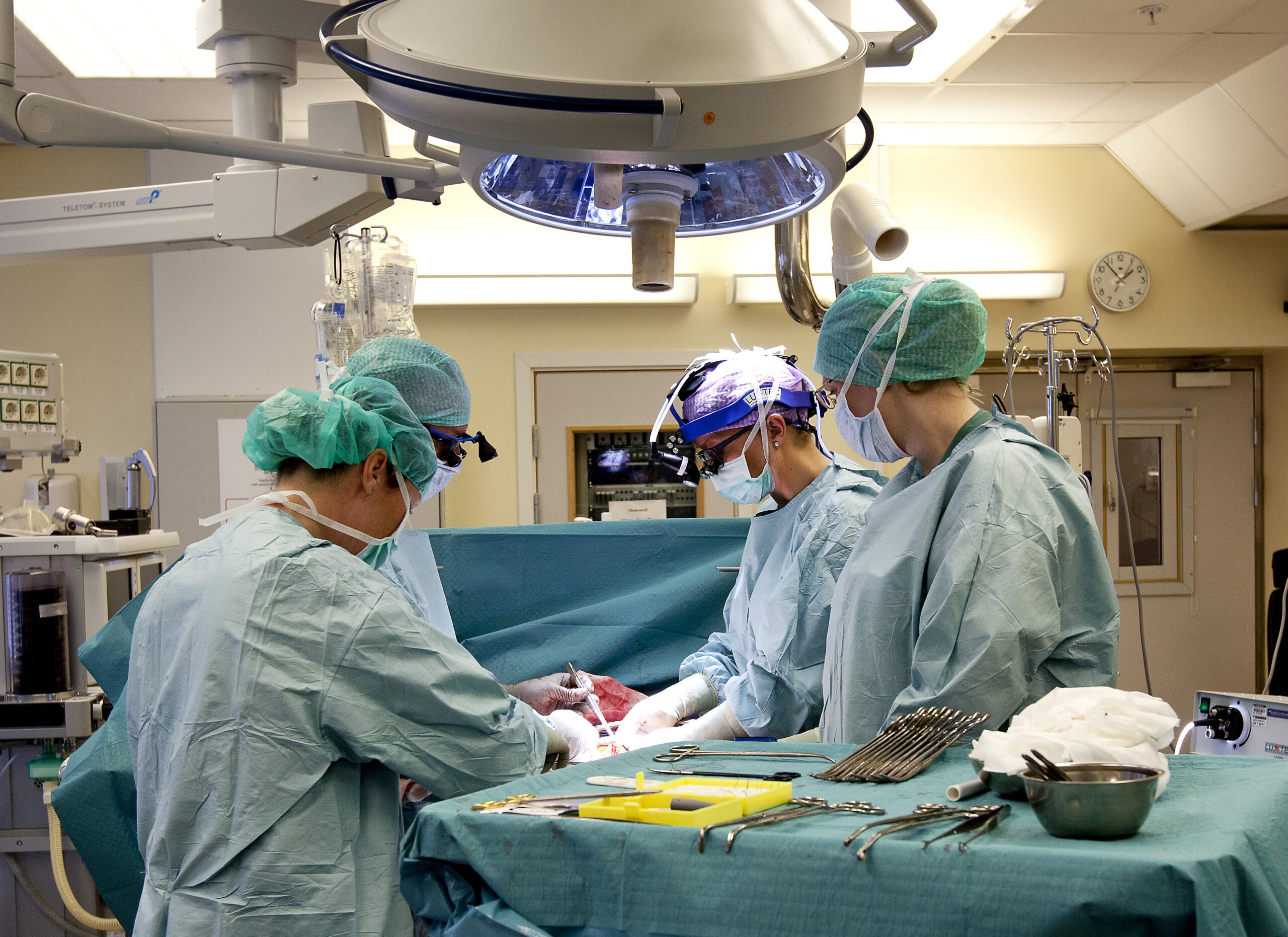 4 women with new wombs are trying to get pregnant