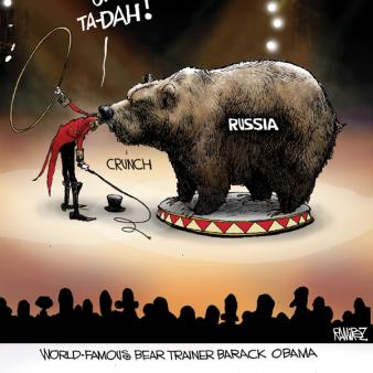 Bear Trainer