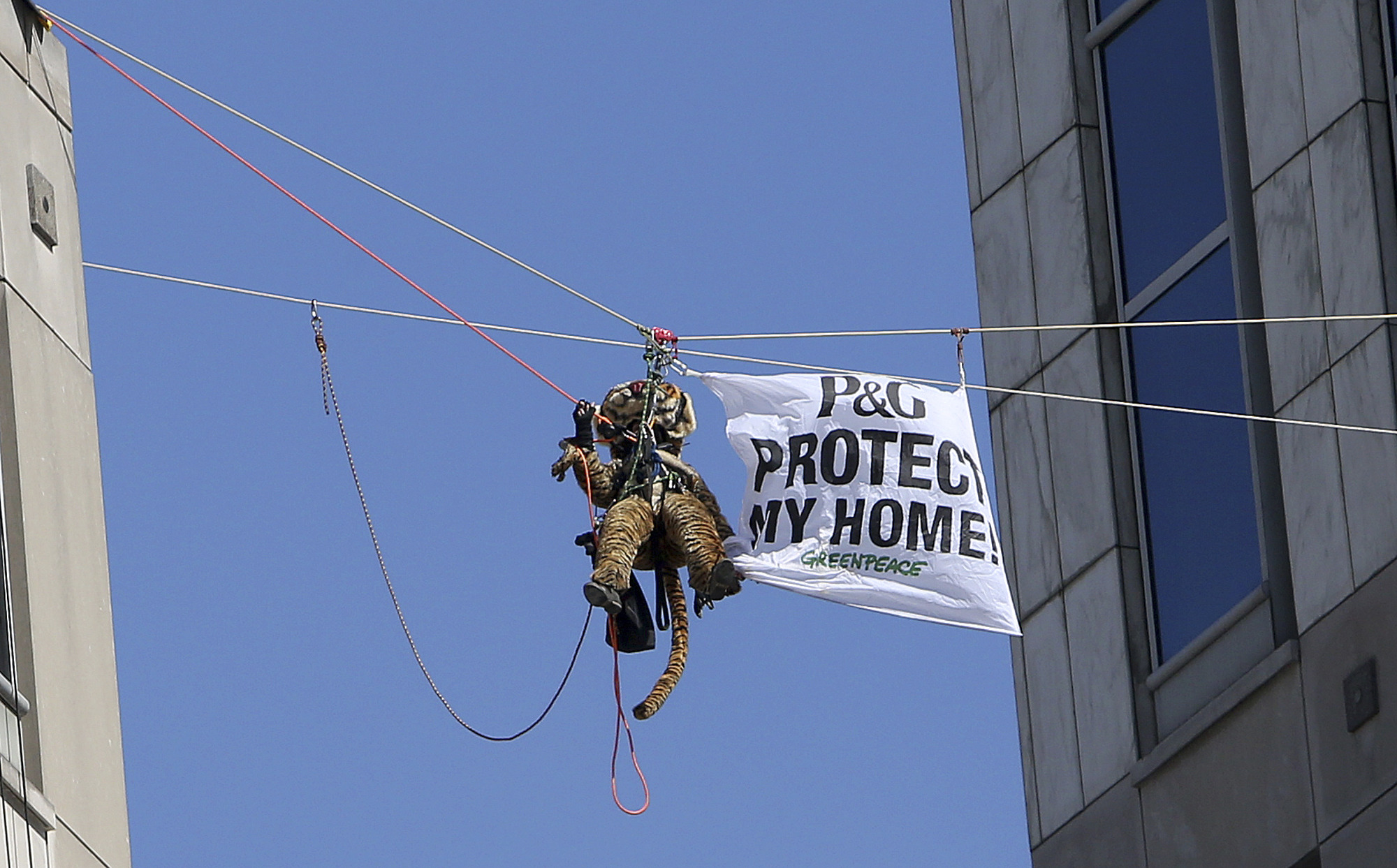 Activists balk at plea deal in P&G protest case