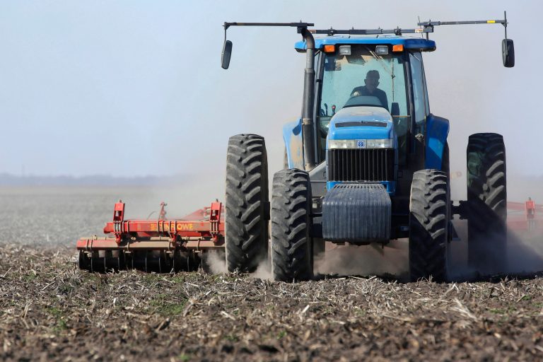 USDA: Corn acres expected to shrink 4 percent