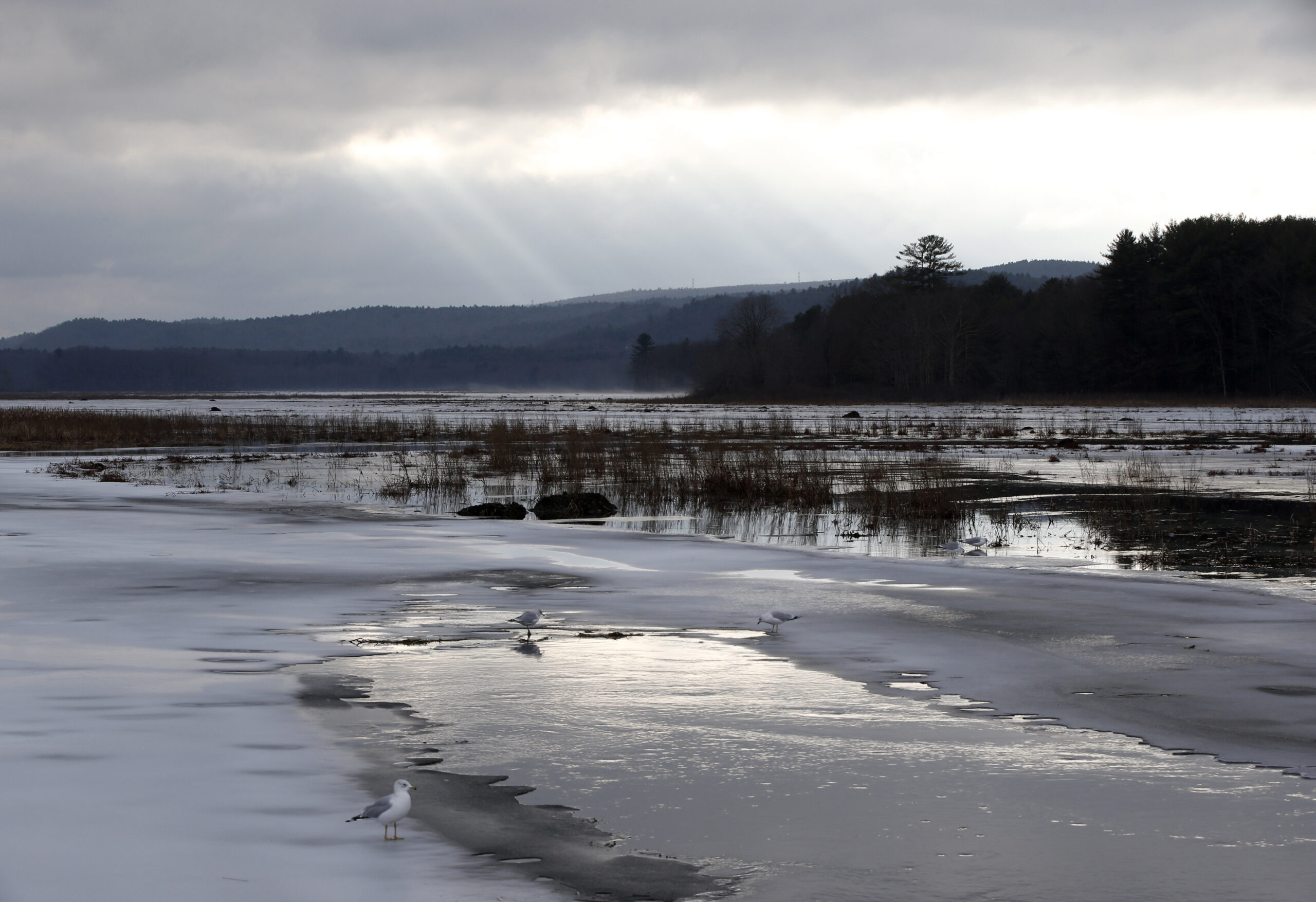 House Republicans lay into EPA ‘land grab’