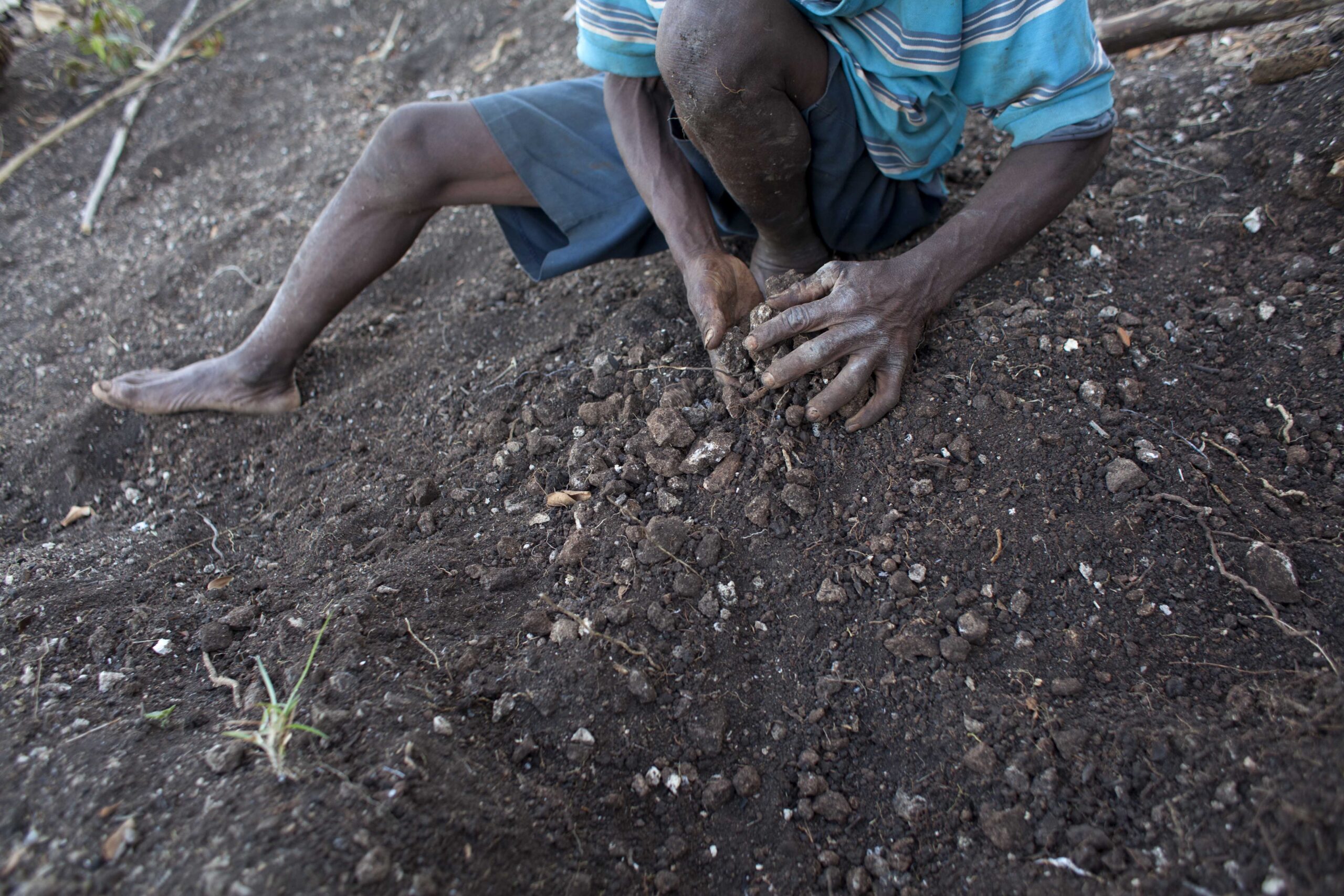 Drought in Haiti ravages crops for farmers
