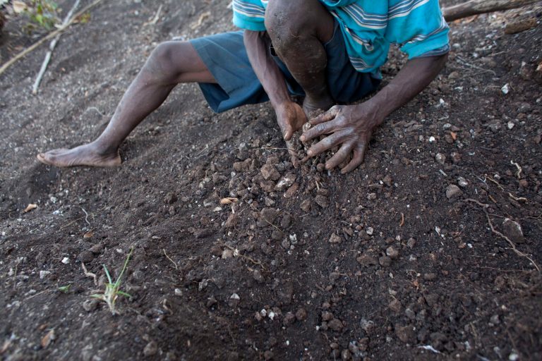 Drought in Haiti ravages crops for farmers