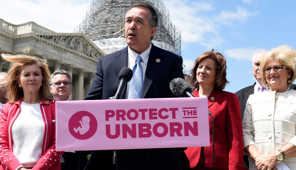 House passes 20-week abortion ban
