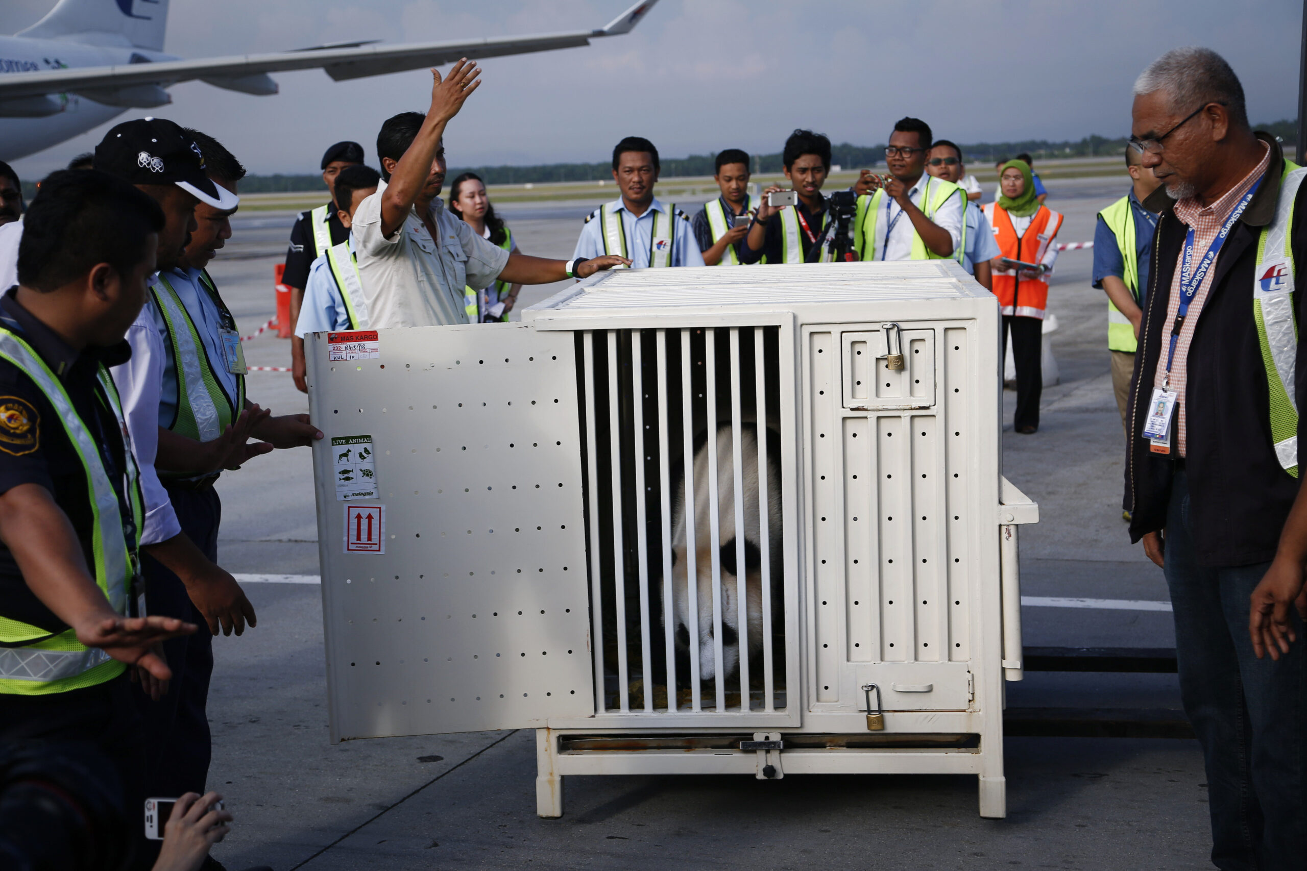 2 pandas arrive in Malaysia from China after delay