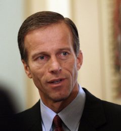 Sen. John Thune still mulling Ted Cruz filibuster on Obamacare, concerned about GOP unity
