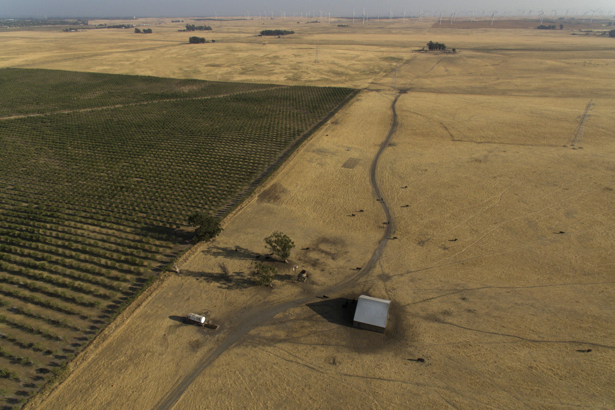 Billionaire backers of new California city reveal map and details of proposed development