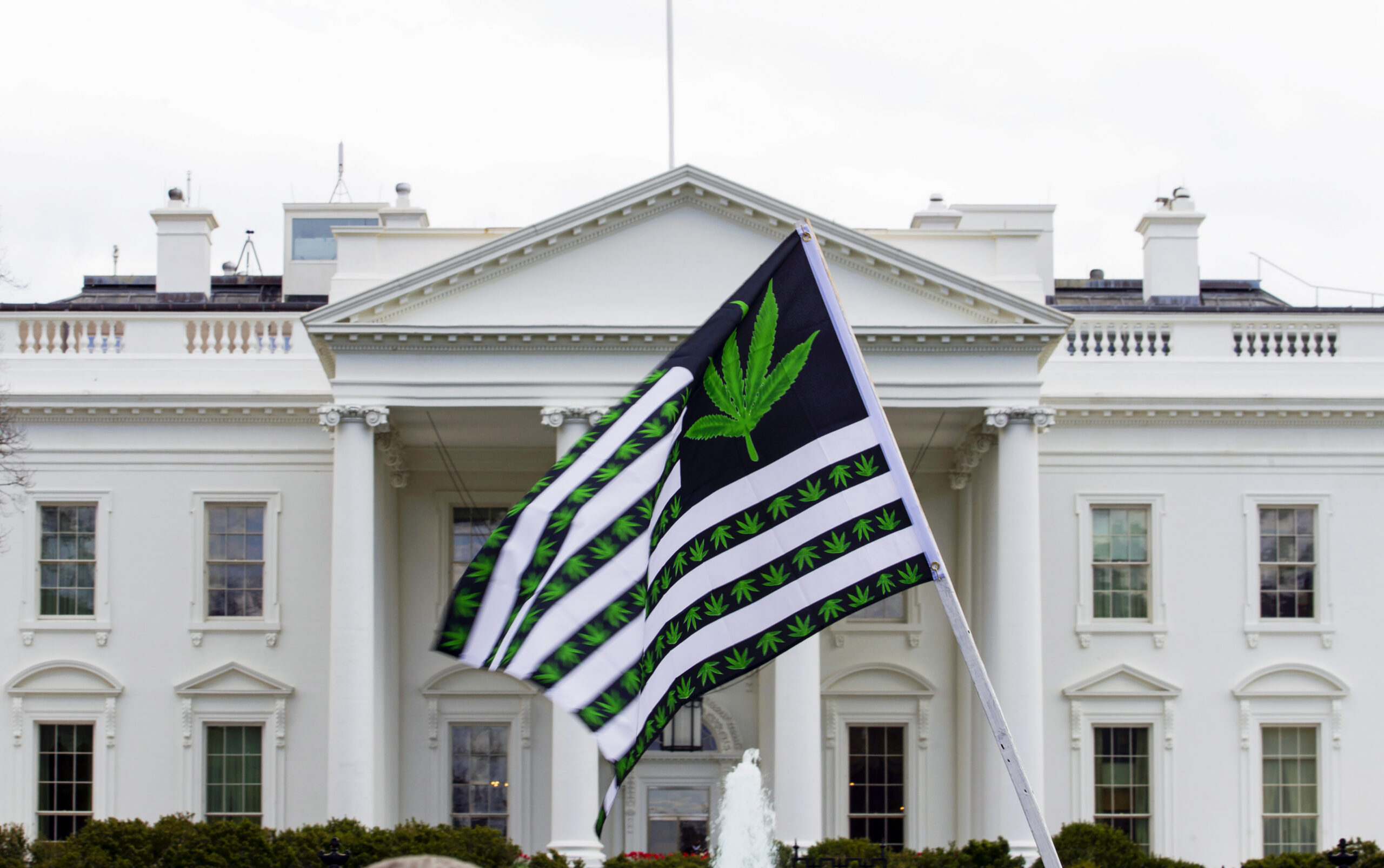 Republicans need to turn against marijuana