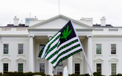 Public health agencies recommend loosening restrictions on marijuana