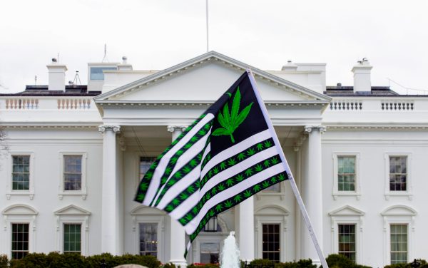 Warren County DA says office doesn’t ‘pursue’ marijuana cases