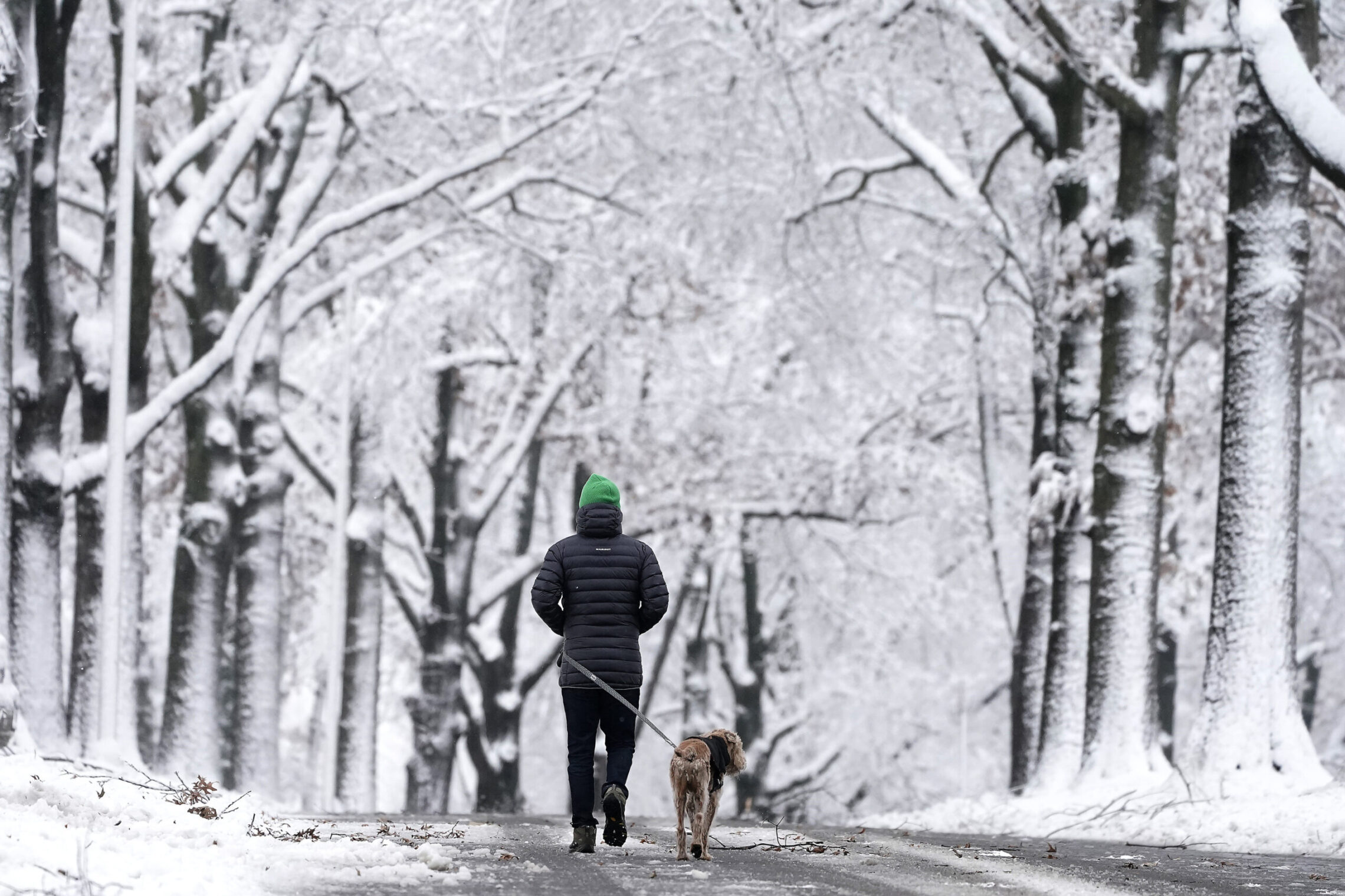 Cold winter conditions have caused at least 45 deaths in the past week