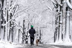 Cold winter conditions have caused at least 45 deaths in the past week