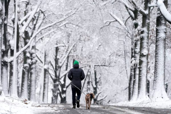 Cold winter conditions have caused at least 45 deaths in the past week