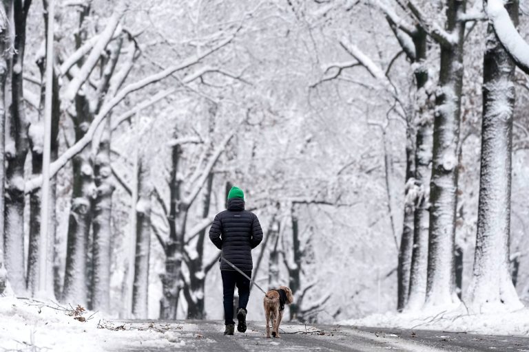Cold winter conditions have caused at least 45 deaths in the past week