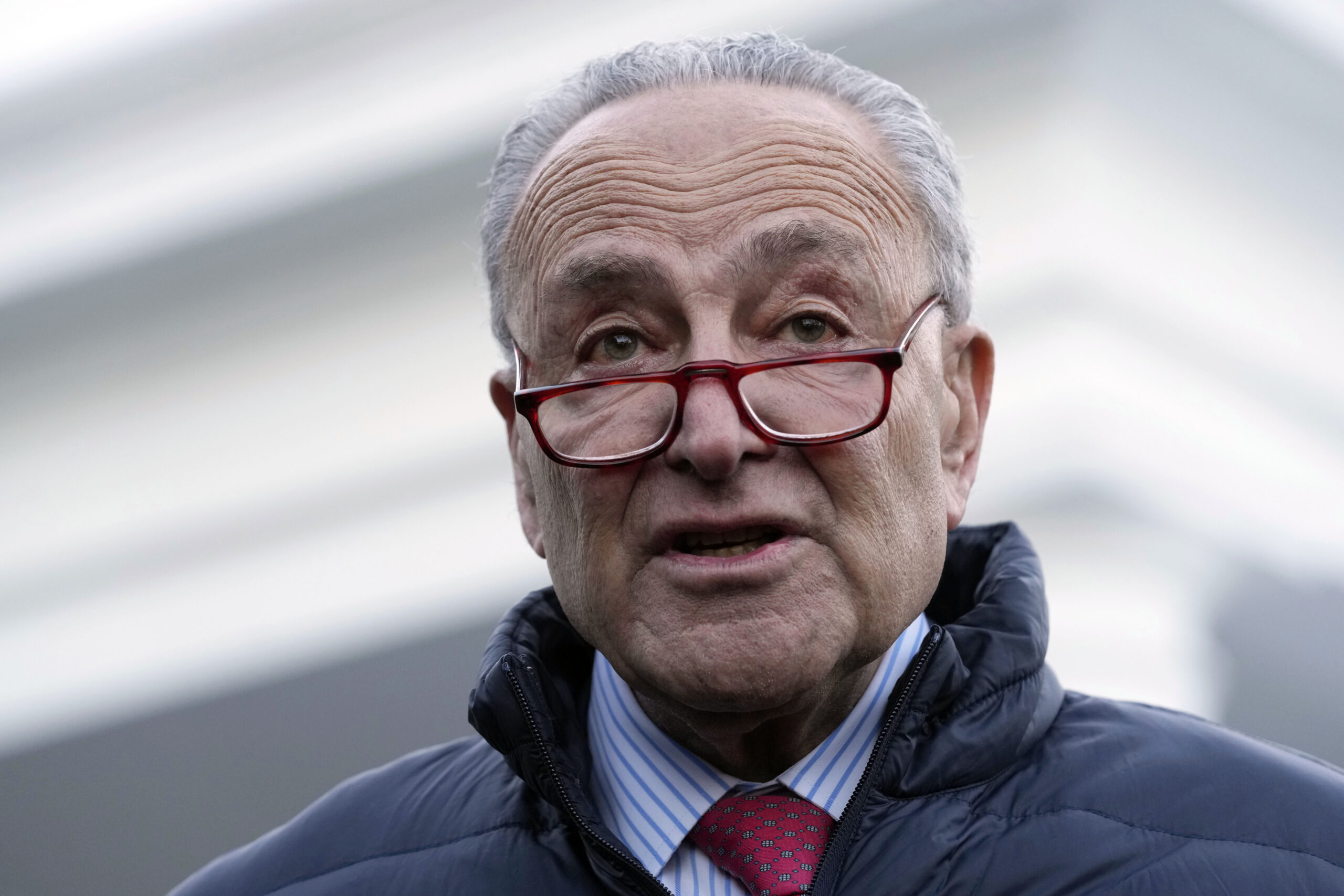 Senators from both parties press Schumer for bill to create Big Tech regulatory agency